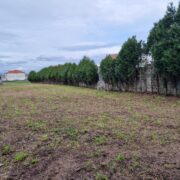 Ana Porto Inmobiliaria