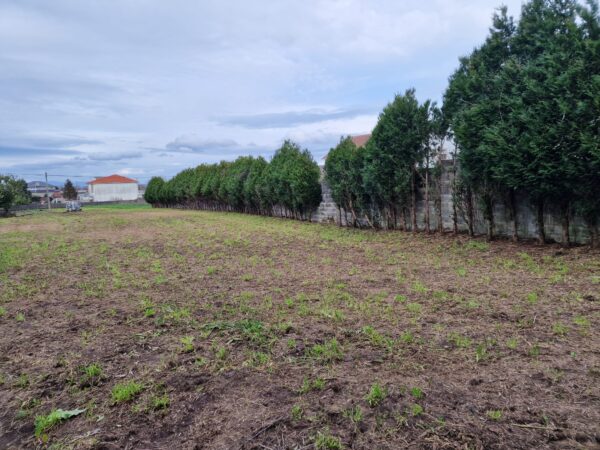 Ana Porto Inmobiliaria