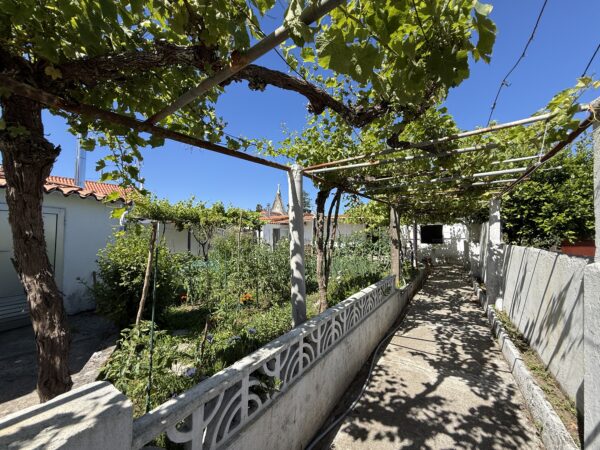 Ana Porto Inmobiliaria